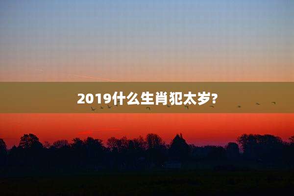2019什么生肖犯太岁?