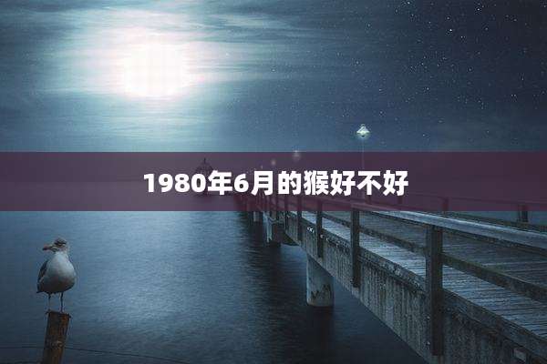 1980年6月的猴好不好