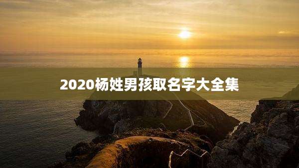2020杨姓男孩取名字大全集