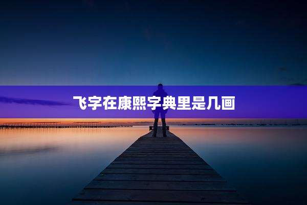 飞字在康熙字典里是几画