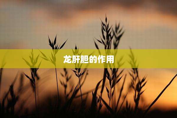 龙肝胆的作用