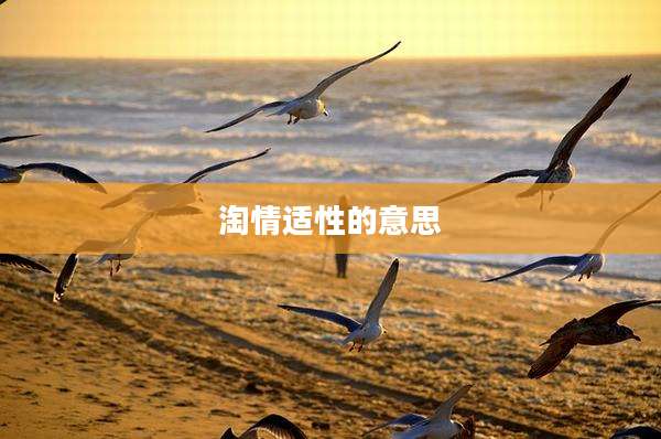 淘情适性的意思
