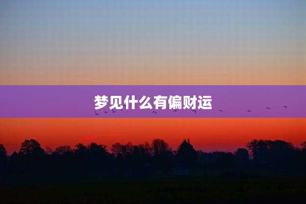 梦见什么有偏财运