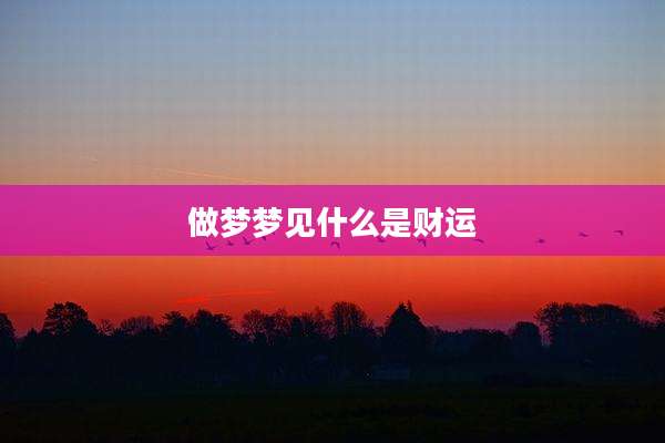 做梦梦见什么是财运