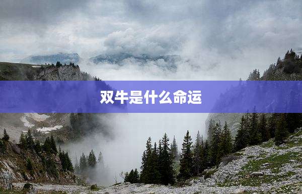 双牛是什么命运