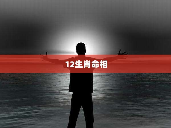 12生肖命相
