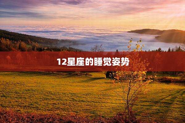 12星座的睡觉姿势