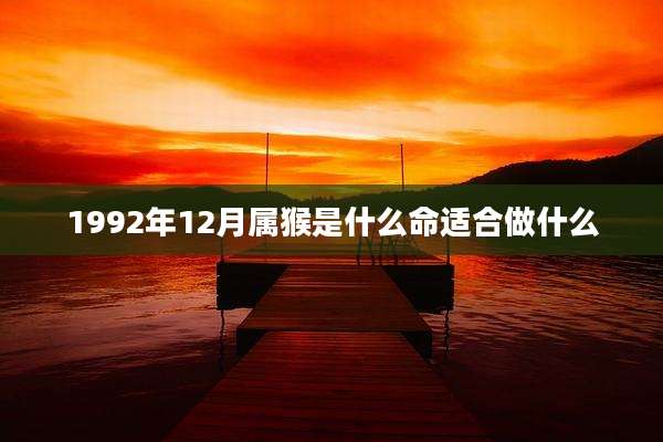 1992年12月属猴是什么命适合做什么