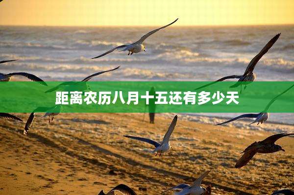 距离农历八月十五还有多少天
