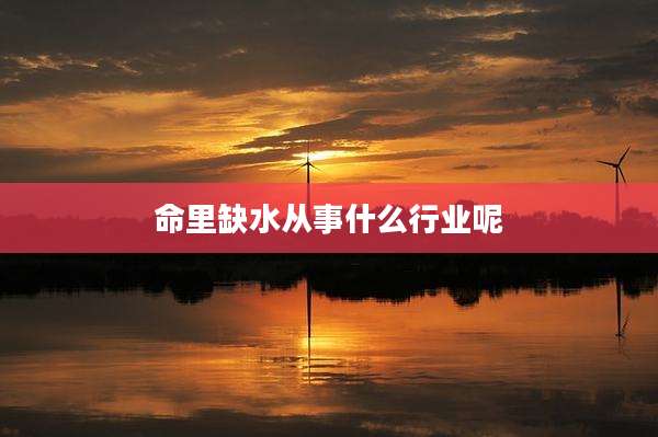 命里缺水从事什么行业呢