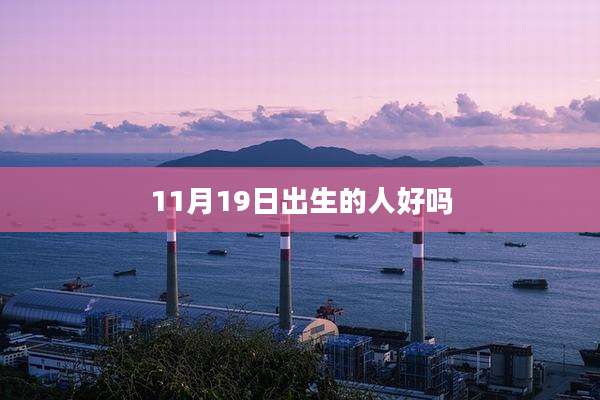 11月19日出生的人好吗