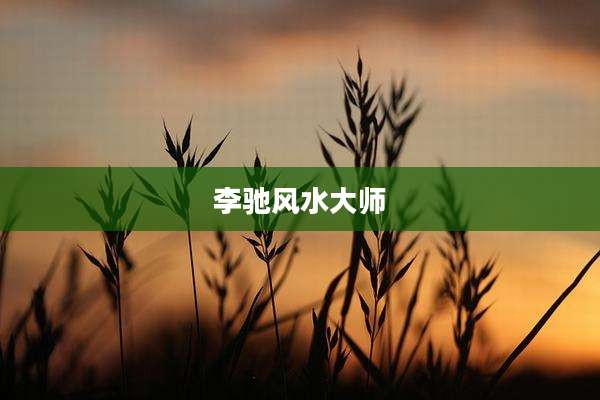 李驰风水大师