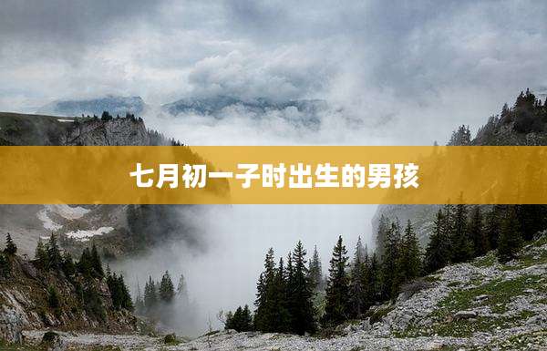 七月初一子时出生的男孩