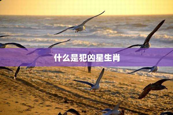什么是犯凶星生肖