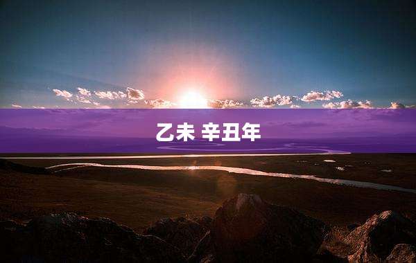 乙未 辛丑年