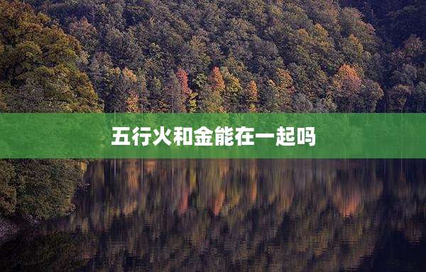 五行火和金能在一起吗
