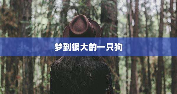 梦到很大的一只狗