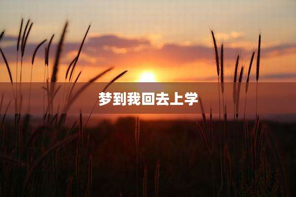 梦到我回去上学