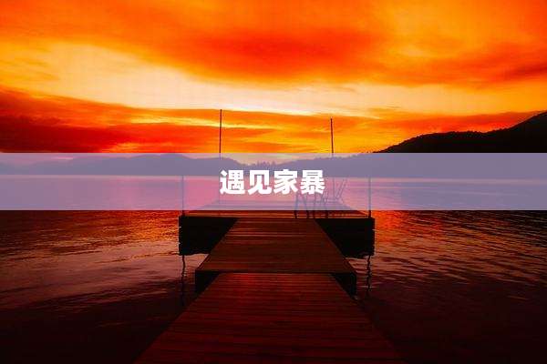 遇见家暴