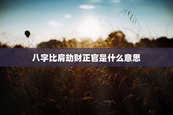 八字比肩劫财正官是什么意思