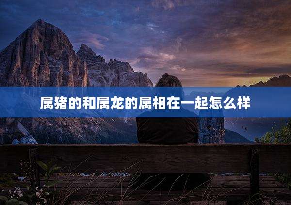 属猪的和属龙的属相在一起怎么样