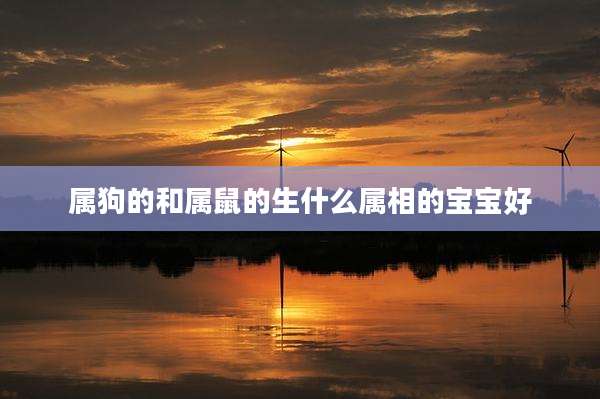 属狗的和属鼠的生什么属相的宝宝好