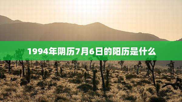 1994年阴历7月6日的阳历是什么