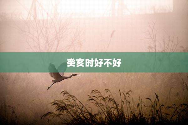 癸亥时好不好