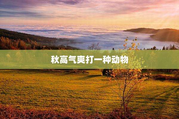 秋高气爽打一种动物