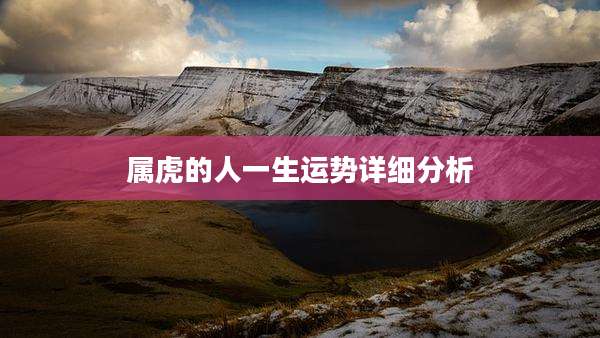 属虎的人一生运势详细分析