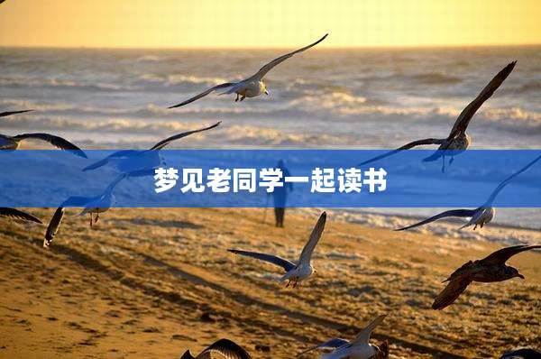 梦见老同学一起读书