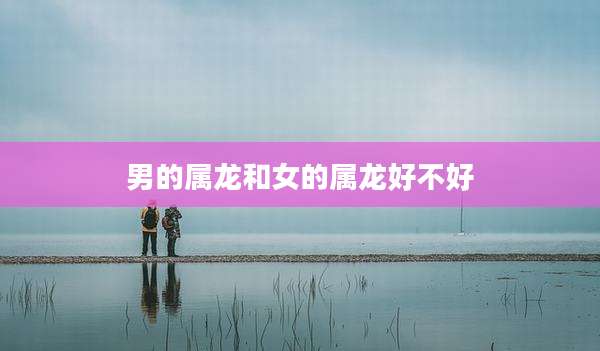 男的属龙和女的属龙好不好