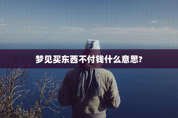 梦见买东西不付钱什么意思?