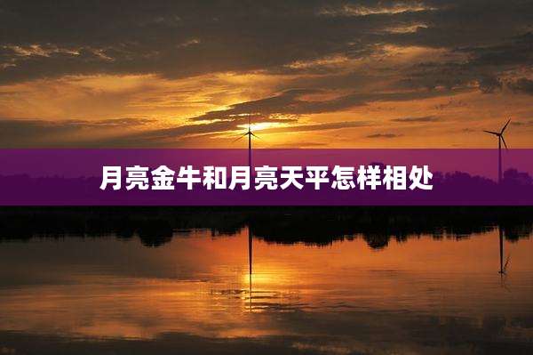 月亮金牛和月亮天平怎样相处