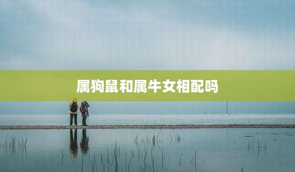 属狗鼠和属牛女相配吗
