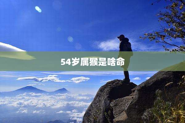 54岁属猴是啥命