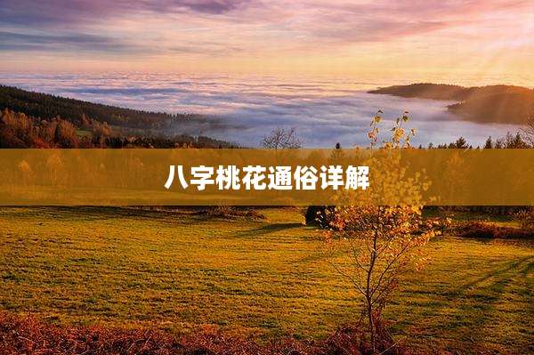 八字桃花通俗详解
