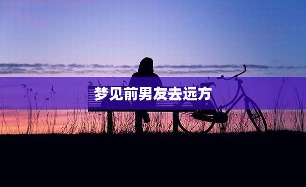 梦见前男友去远方