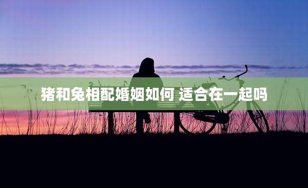猪和兔相配婚姻如何 适合在一起吗
