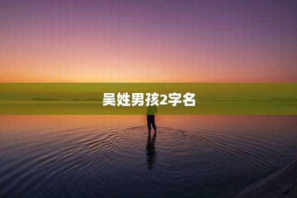 吴姓男孩2字名