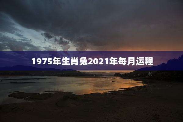 1975年生肖兔2021年每月运程