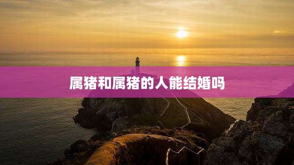 属猪和属猪的人能结婚吗