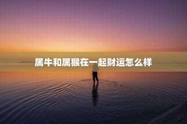 属牛和属猴在一起财运怎么样