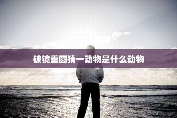 破镜重圆猜一动物是什么动物