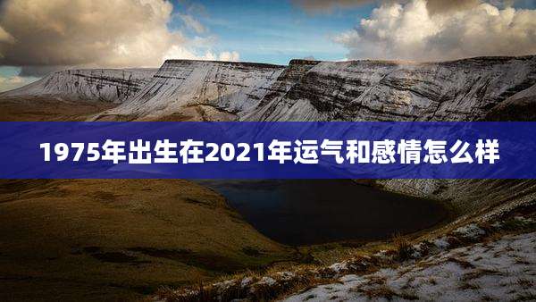1975年出生在2021年运气和感情怎么样