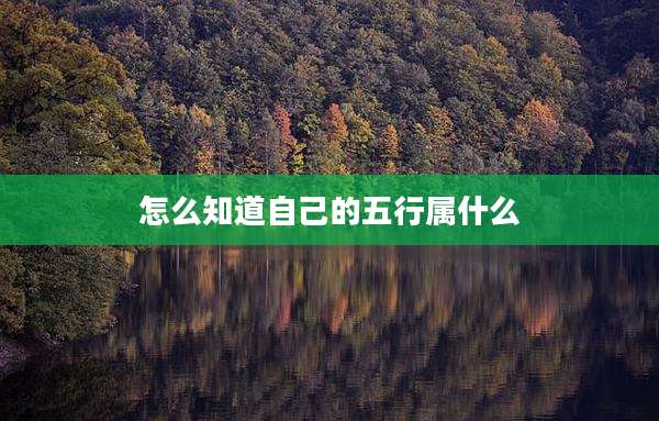怎么知道自己的五行属什么