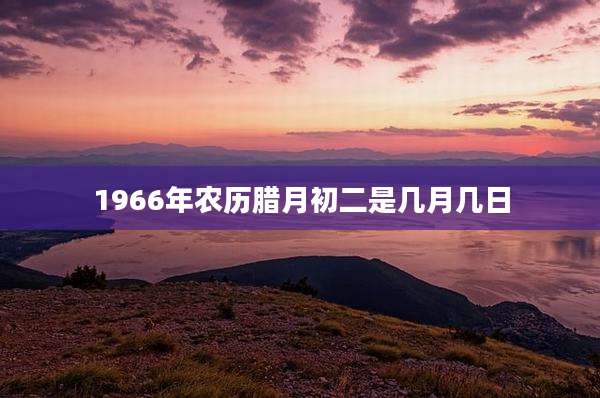 1966年农历腊月初二是几月几日