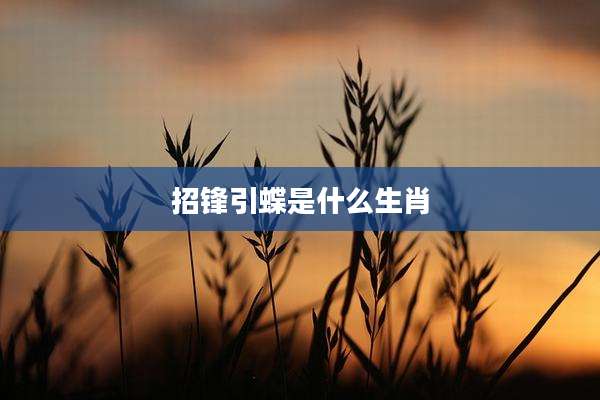 招锋引蝶是什么生肖
