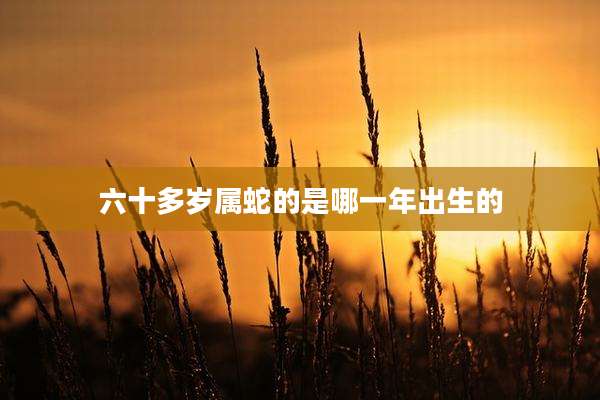 六十多岁属蛇的是哪一年出生的