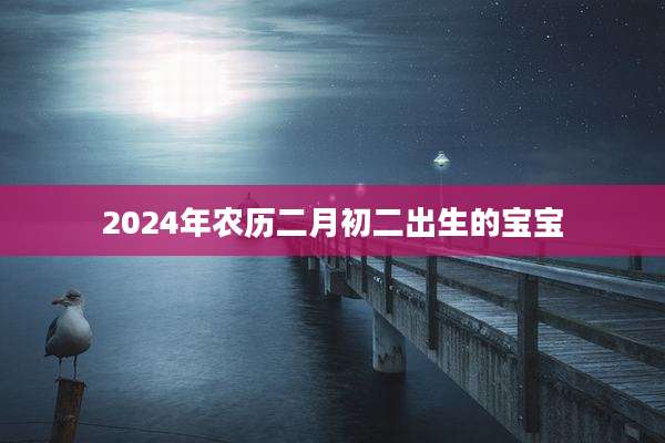 2024年农历二月初二出生的宝宝